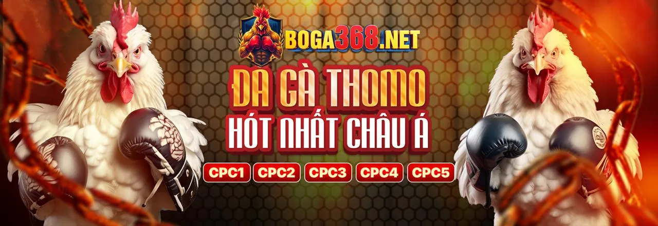 Tin tức Five88 Com 2026 về cá cược và ưu đãi